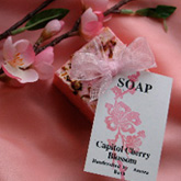 SOAP 1