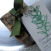 SOAP 6